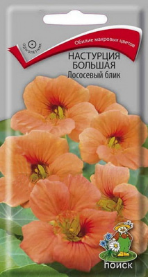 Настурция большая Лососевый блик