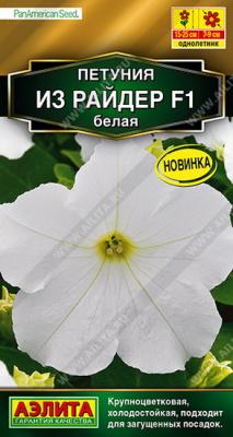 Петуния Из райдер белая