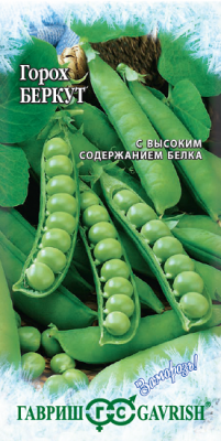 Горох Беркут