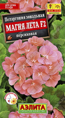 Пеларгония Магия лета персиковая