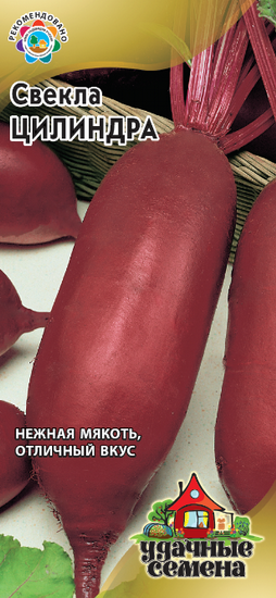 Свекла Цилиндра  Удач семена (Гавриш)