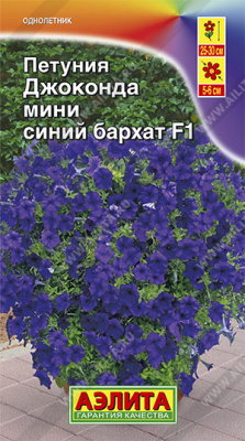 Петуния Джоконда мини синий бархат