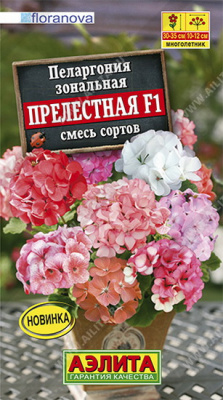 Пеларгония Прелестная F1, смесь