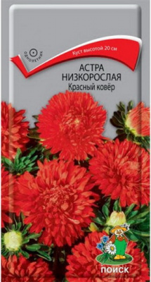 Астра красный Ковер