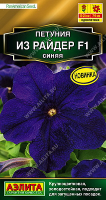 Петуния Из райдер синяя