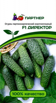 Огурец ДИРЕКТОР (Партнер)