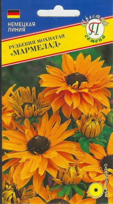 Рудбекия Мармелад