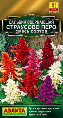 Сальвия Страусово перо смесь