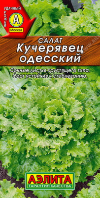 Салат Кучерявец Одесский, полукочанный