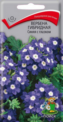Вербена Синяя с глазком