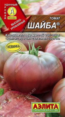 Томат Шайба