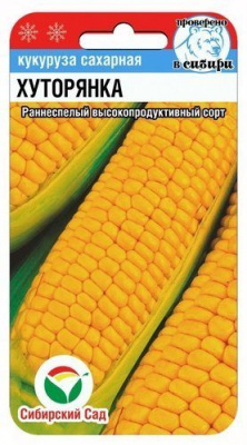 Кукуруза Хуторянка