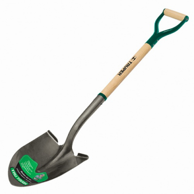 31185