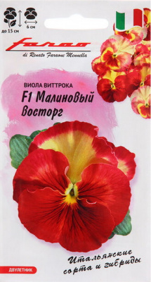 Виола Малиновый восторг