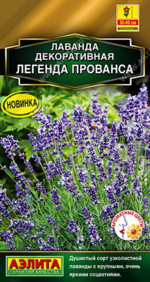 Лаванда Легенда Прованса, декоративная