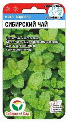Мята Сибирский чай