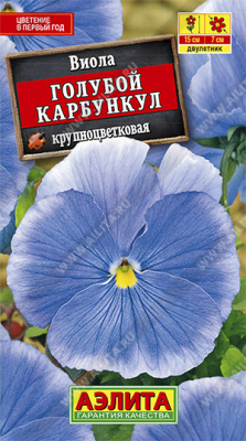 Виола Голубой карбункул