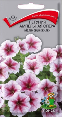 Петуния Опера малиновые жилки ампельная
