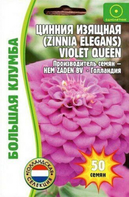 Violet Queen