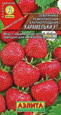Земляника Карамельки