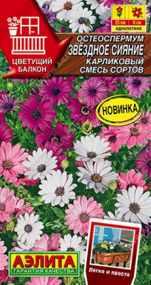 Остеоспермум Звездное сияние смесь