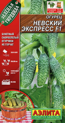 Огурец Невский экспресс
