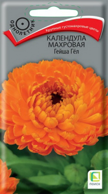 Календула Гейша Гел махровая