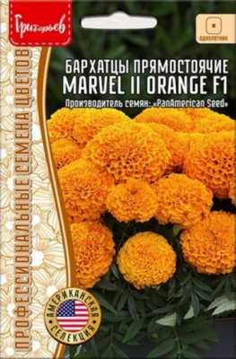 Бархатцы Marvel II Orange