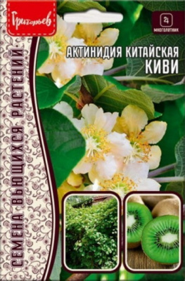 Актинидия Китайская киви