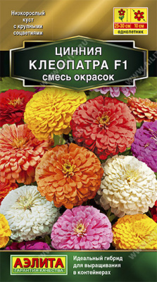 Цинния Клеопатра смесь окрасок