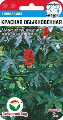 Клещевина красная