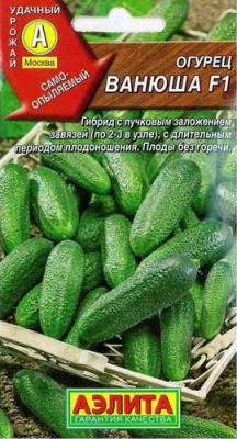 Огурец ВАНЮША