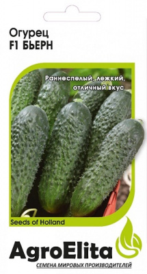 Огурец Бьерн