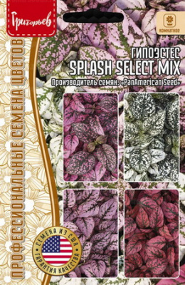 Гипоэстес Splash Select Mix