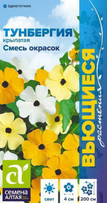Тунбергия Смесь окрасок