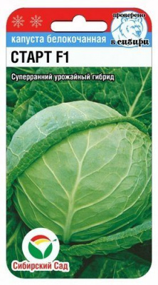 Старт F1