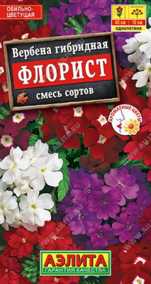 Вербена гибридная Флорист, смесь окрасок