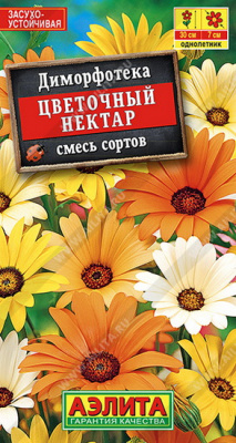 Диморфотека Цветочный нектар