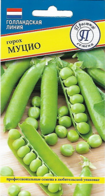 Горох Муцио