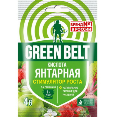 Янтарная кислота 4 гр
