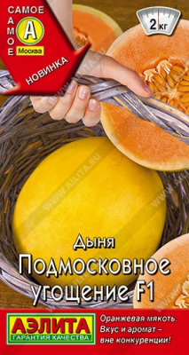 Дыня Подмосковное угощение