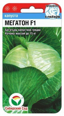 Капуста Мегатон