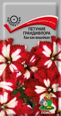 Петуния Кан кан Вишневая