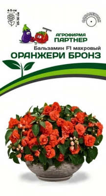 Бальзамин Оранжери Бронз махровый