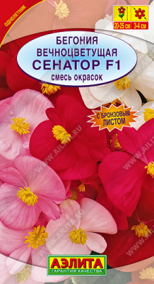 Бегония вечноцветущая Сенатор, смесь окрасок