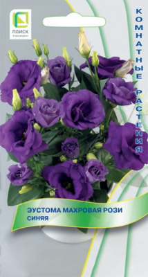 Эустома Рози синяя