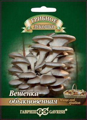 Грибы Мицелий Вешенка Обыкновенная на древ.палочке