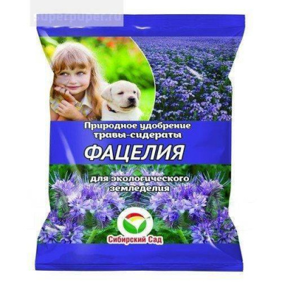 Сидерат Фацелия