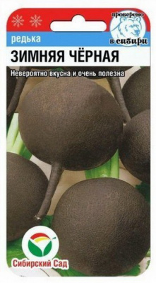 Редька Зимняя Круглая Черная