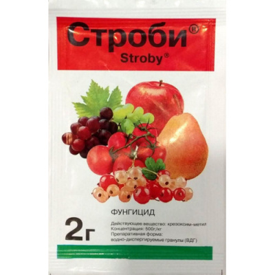 Строби от болезней
